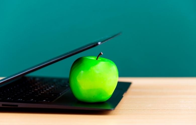 the accidental trainer blog image     